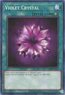 Violet Crystal (LOB-EN042) [LOB-EN]