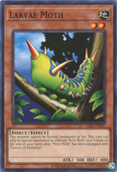 Larvae Moth (MRD-EN007) [MRD-EN]