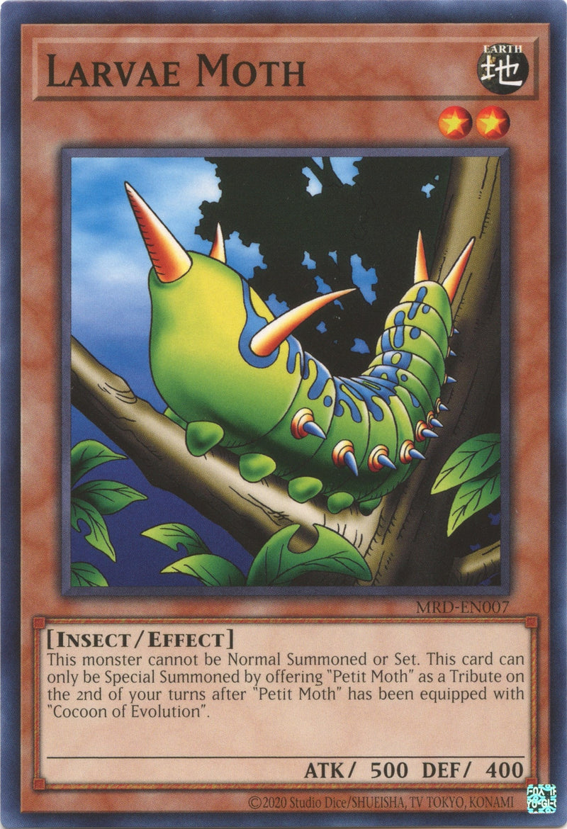 Larvae Moth (MRD-EN007) [MRD-EN]