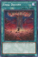 Final Destiny (SRL-EN035) [SRL-EN]