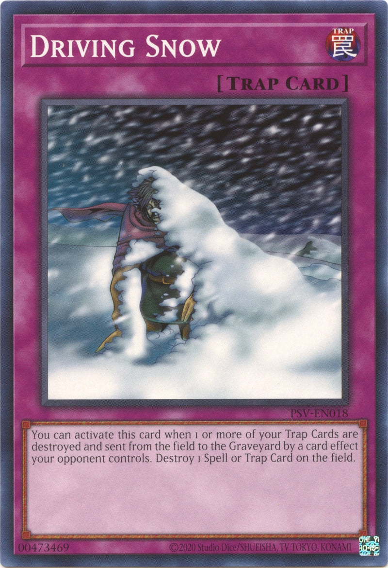 Driving Snow (PSV-EN018) [PSV-EN]