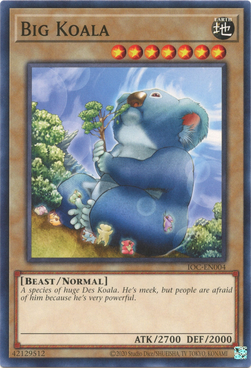 Big Koala (IOC-EN004) [IOC-EN]