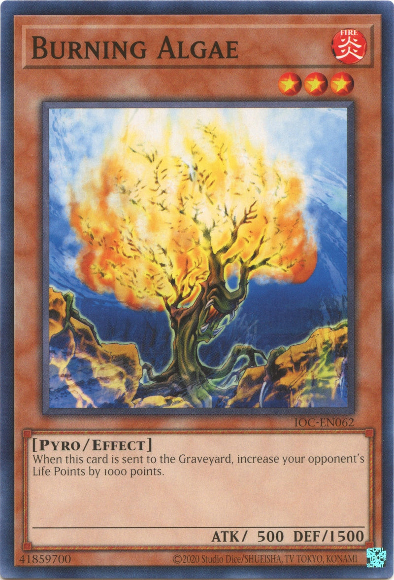 Burning Algae (IOC-EN062) [IOC-EN]
