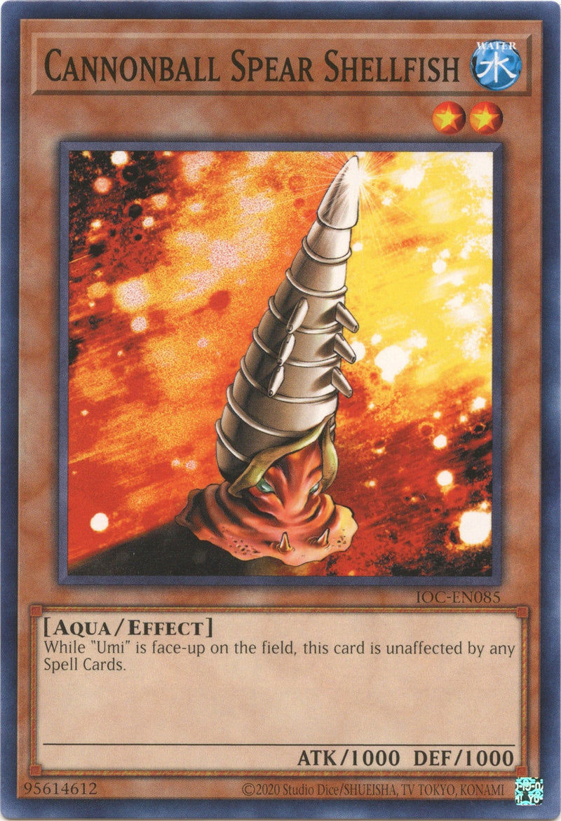 Cannonball Spear Shellfish (IOC-EN085) [IOC-EN]