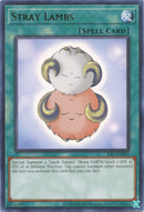 Stray Lambs (IOC-EN092) [IOC-EN]