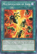Multiplication of Ants (IOC-EN098) [IOC-EN]