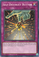 Self Destruct Button (IOC-EN105) [IOC-EN]
