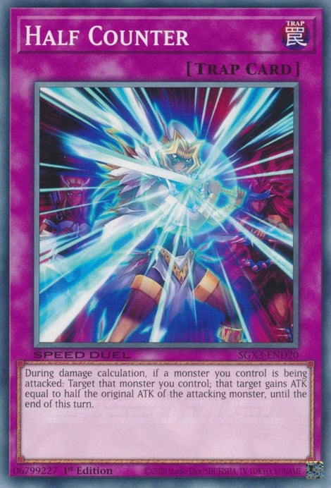 Half Counter (SGX3-END20) [SGX3]