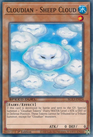 Cloudian Sheep Cloud (SGX3-ENI24) [SGX3]