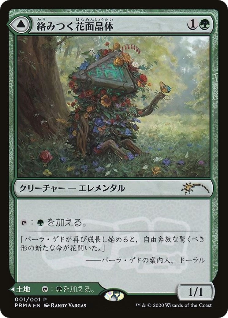 Tangled Florahedron JP Magazine Insert (1) [MEDIA]