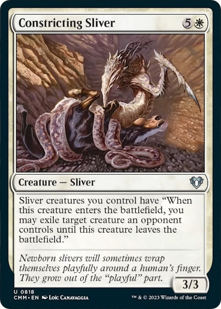 Constricting Sliver (818) [CMM]
