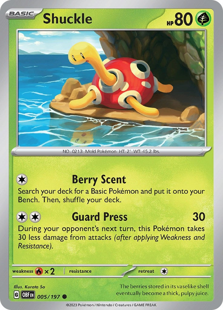 Shuckle (005/197) [OBF]