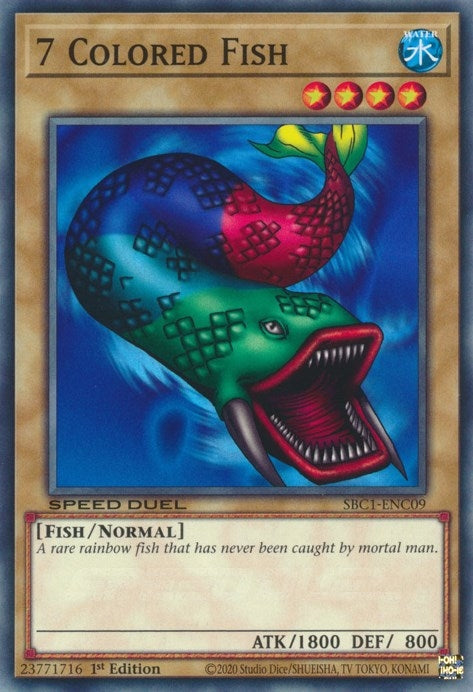 7 Colored Fish (SBC1-ENC09) [SBC1]