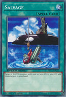 Salvage (SBC1-ENC12) [SBC1]
