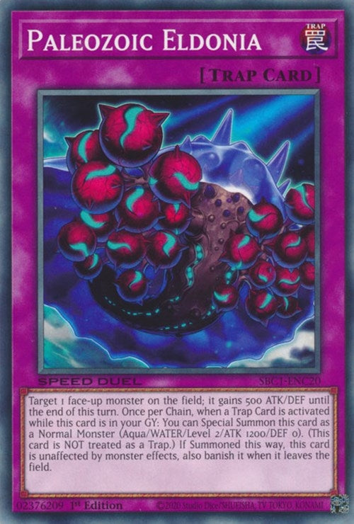 Paleozoic Eldonia (SBC1-ENC20) [SBC1]