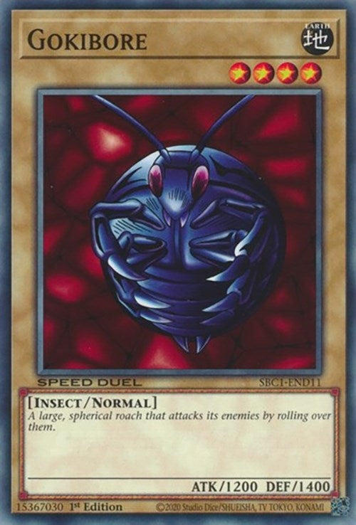 Gokibore (SBC1-END11) [SBC1]