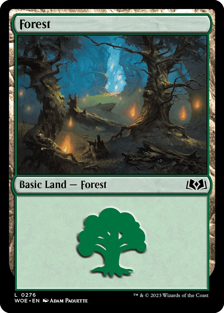 Forest (0276) [Wilds of Eldraine]