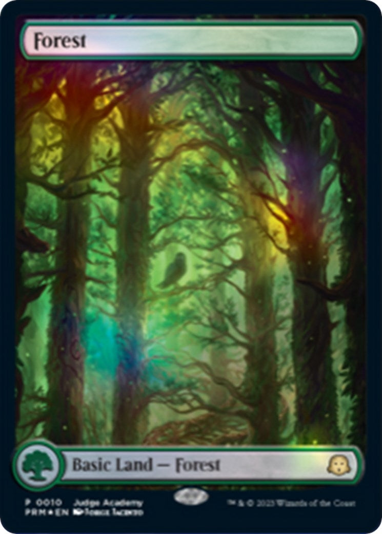 Forest Full Art 0010 (10) [JDG]