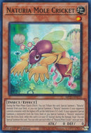Naturia Mole Cricket (MP23-EN170) [MP23]