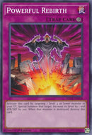 Powerful Rebirth (SDCK-EN038) [SDCK]