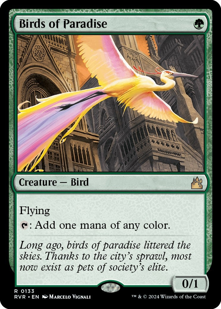Birds of Paradise (133) [RVR]