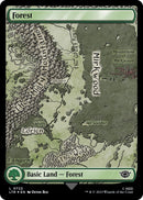 Forest (0722) (Surge Foil) [The Lord of the Rings: Tales of Middle-Earth]