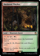 Sheltered Thicket Surge Foil (895) [WHO]