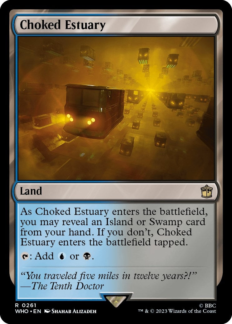 Choked Estuary (261) [WHO]