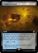 Choked Estuary Extended Art (484) [WHO]