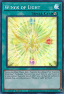 Wings of Light (AGOV-EN048) [AGOV]
