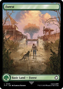 Forest 0325 (325) [PIP]