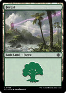 Forest (0402) [The Lost Caverns of Ixalan]