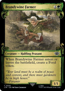 Brandywine Farmer Showcase Scrolls (606) [LTR]