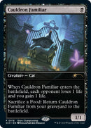 Cauldron Familiar (18) [GAME]