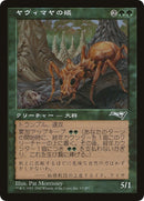 Yavimaya Ants Hobby Japan Reprint (5) [MEDIA]
