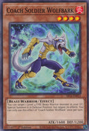 Coach Soldier Wolfbark (SR14-EN011) [SR14]