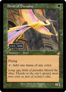 Birds of Paradise Retro Frame Serial Numbered (344) [RVR]