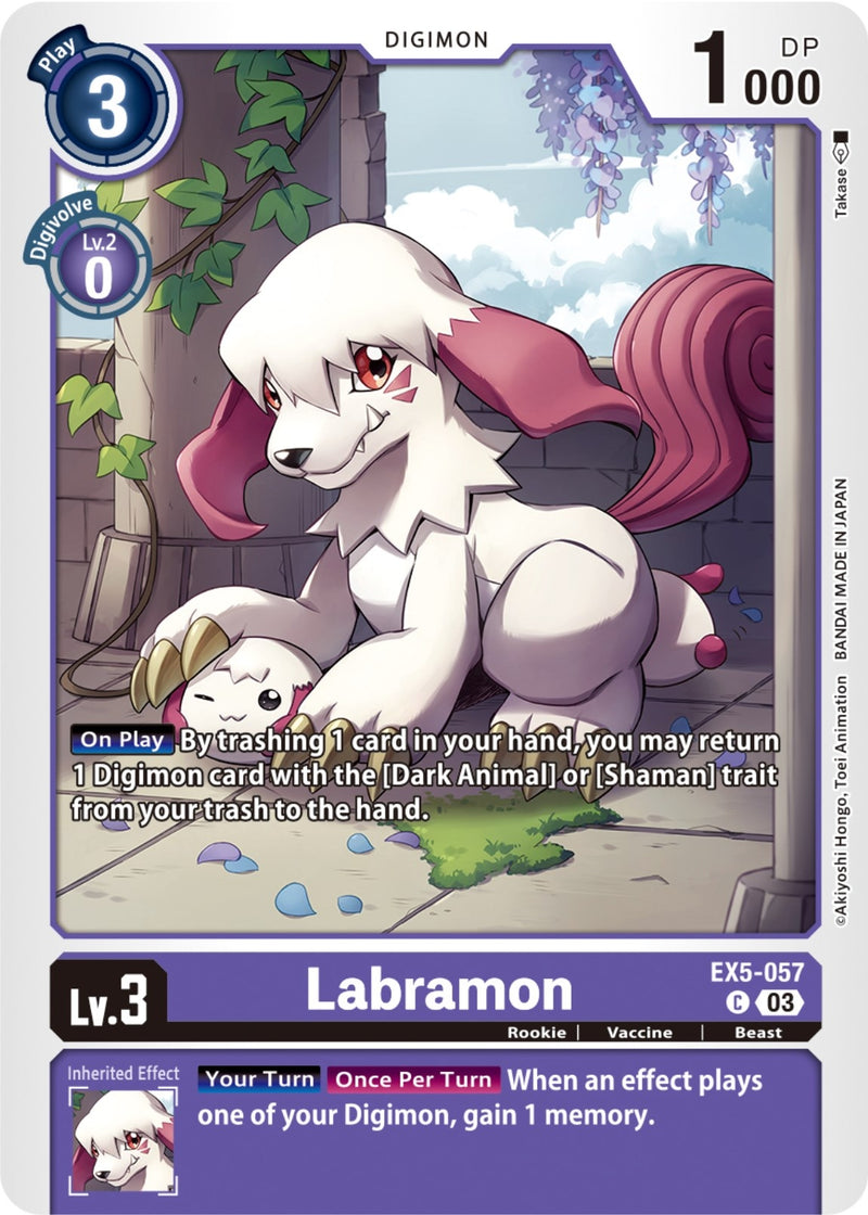 Image for Labramon [Animal Colosseum]