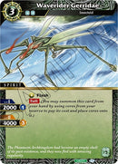 Waverider Gerridae (BSS04-082) [BSS04]