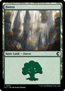 Forest 0270 (270) [CLU]