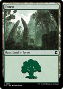 Forest 0272 (272) [CLU]