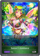 Natures Guidance (PR-050EN) [SVPR]