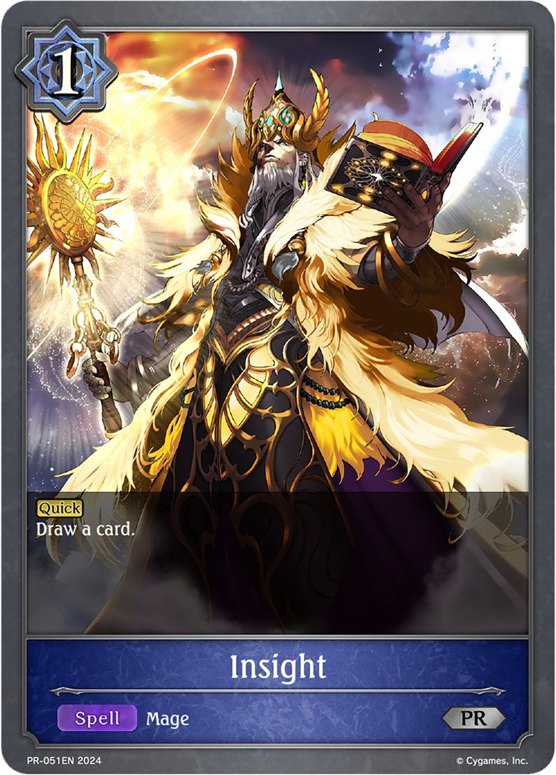 Insight (PR-051EN) [SVPR]