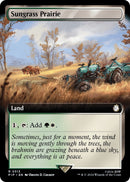 Sungrass Prairie Extended Art (513) [PIP]