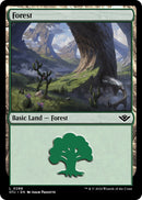 Forest 0286 (286) [OTJ]