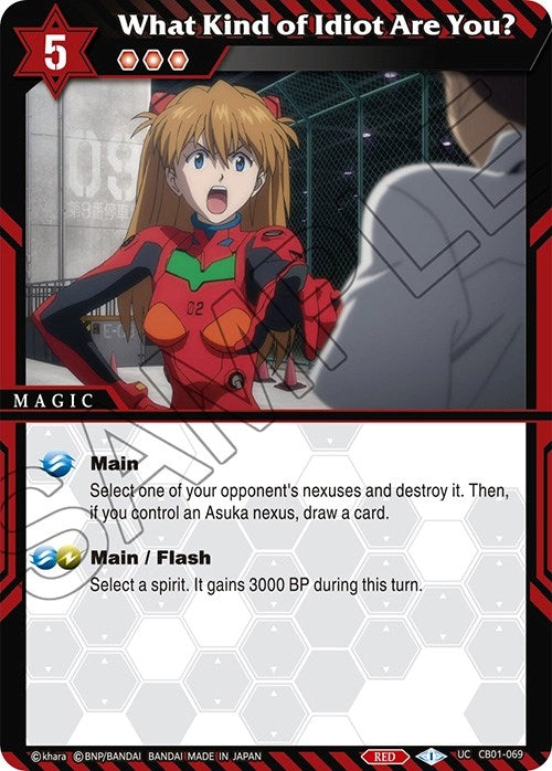 What Kind of Idiot Are You (CB01-069) [CB01]