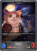 Owlcat Evolved (BP04-128EN) [BP04]