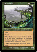 Endurance Retro Frame (14) [MH2]
