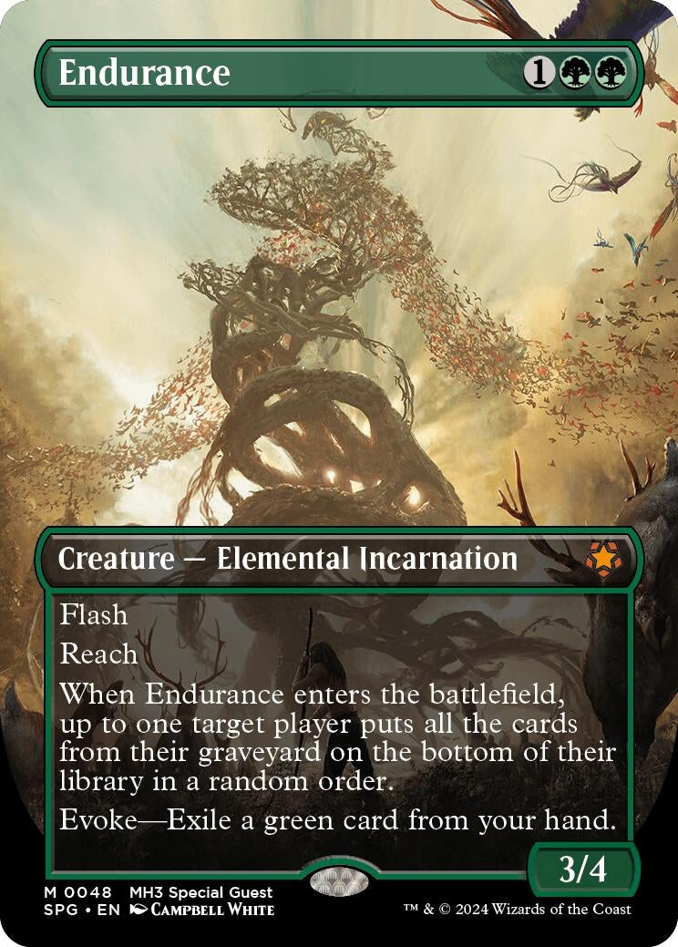 Endurance Borderless (48) [SPG]