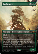 Endurance Borderless Textured Foil (53) [SPG]